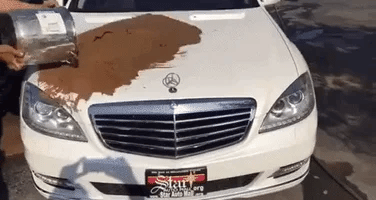 Unmatched Paint and dust proof ☝️